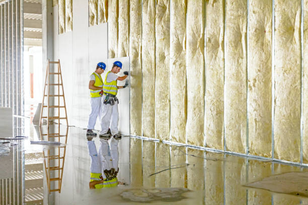 Best Eco-Friendly Insulation in South Coventry, CT